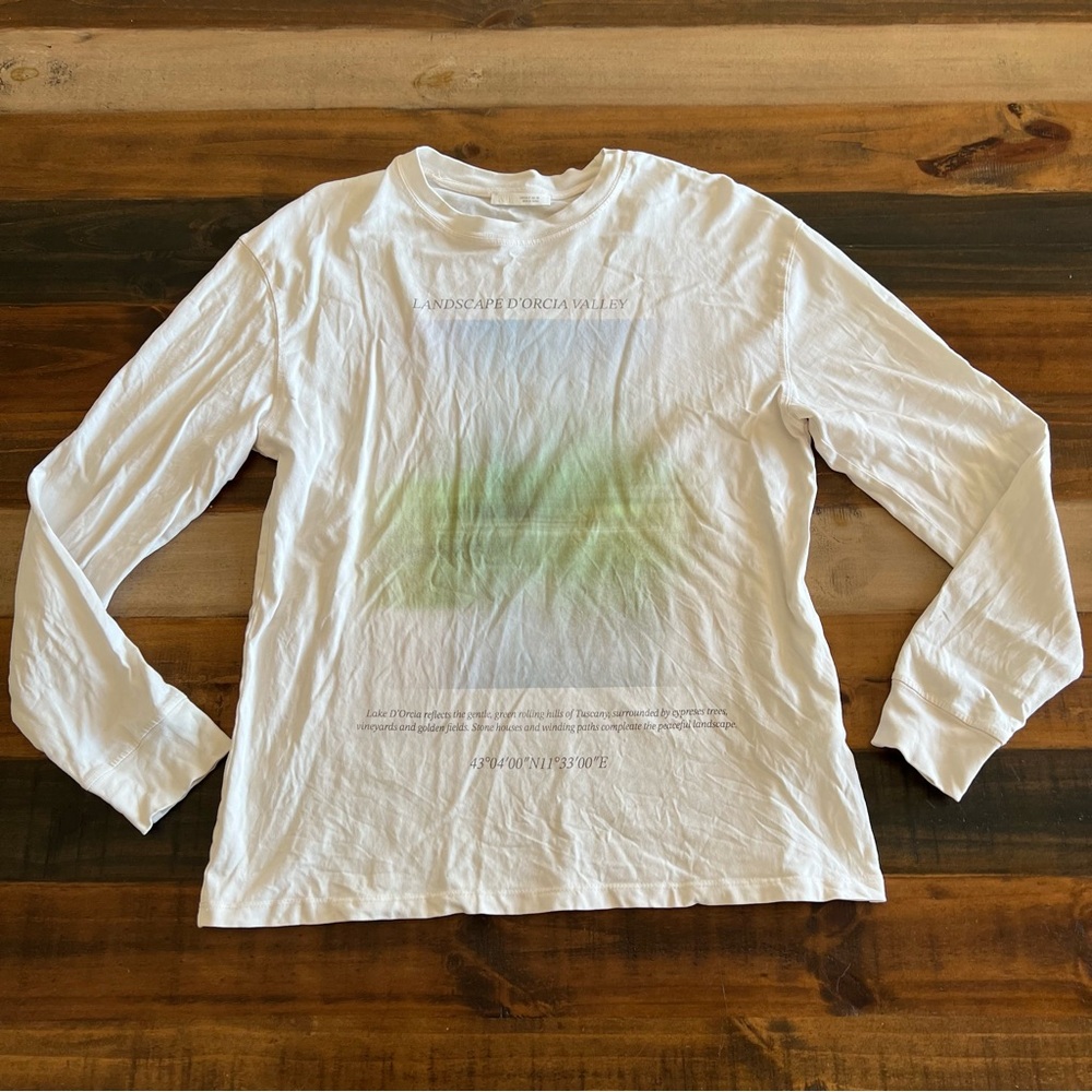 Zara long sleeve graphic t small